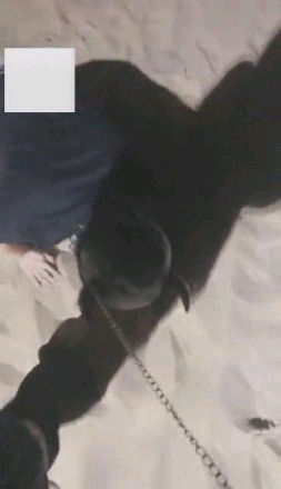 【调教视频】【S桑爷】长靴女王装户外:海滩遛狗