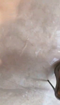 【调教视频】歌迪丝-鞋底浓痰直播圣水