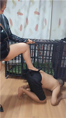 【沈阳饲养员】5013