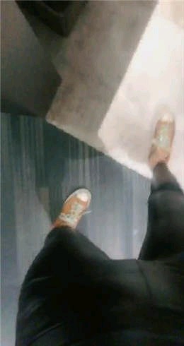 摇摇殿下 玩死废物