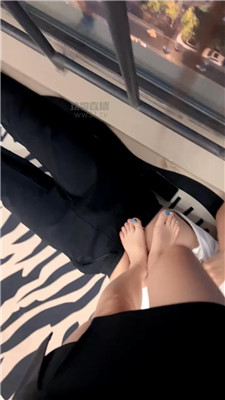 清欢s2016
