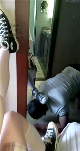 哈宝S一个轻度