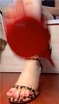 【咬猫】流J狗催促不用手    260623-21BP
